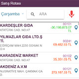 mobil satış sistemi